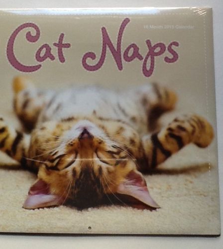 CAT NAPS Adorable 2015 Wall Calendar of Sleeping Kitties and Cats