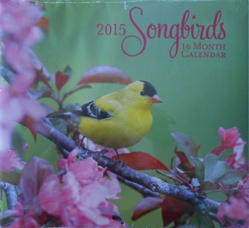 2015 Calendar SONGBIRDS Blue Jay Waxwing Mockingbird 16-Month 12&#034;x11&#034; SEALED