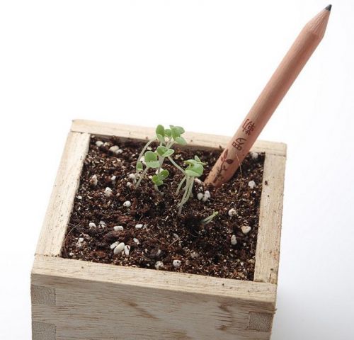8Pieces/Set Sprouting Pencil Plant Pencil - A pencil that wants to be a plant!