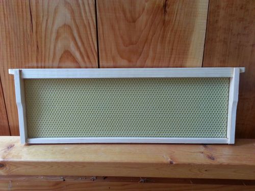 BeeHive Medium Super Frames 6 5/8&#034; &#034;Assembled&#034; w/ Wax Coated Plastic Foundation