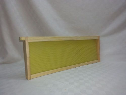 Medium Frame Assembled with Waxed Pierico Plastic Foundation Bee Supplies