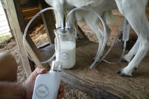 Milk Machine Battery Powered Goat, Sheep Cow One Half Gallon Two Teat Milk
