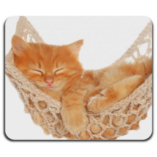 Cute Cat Sleeping on Hammock Little Home Pet Computer Mouse Pad Washable Mat