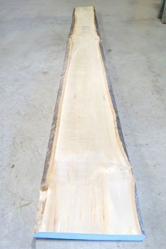 One Holly American lumber wood * 8/4 *, KD  2&#034; x 9&#034; x 92-1/2&#034; (read description)