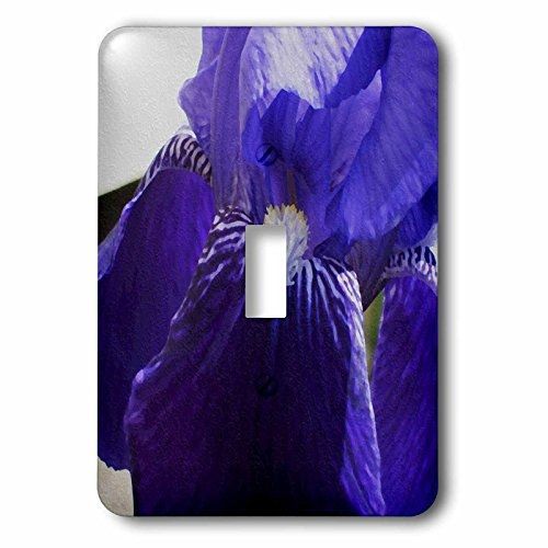 3dRose lsp_50788_1 Purple Iris Oil Painting Single Toggle Switch