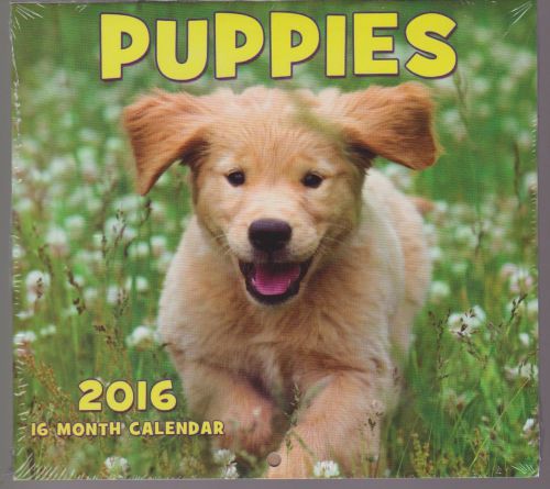 Mini Wall 16 Month Puppies Calendar Dogs, Puppy, Dog, New Sealed