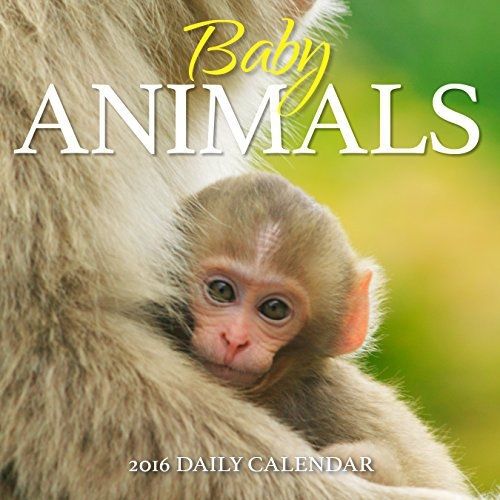 Turner Baby Animals 2016 Photo Daily Boxed (8970005)