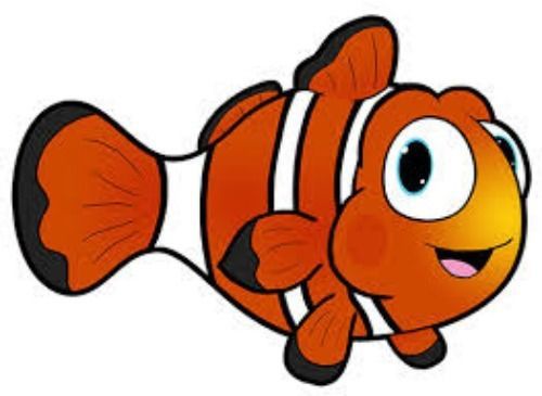 30 Personalized Return Address Labels NEMO!