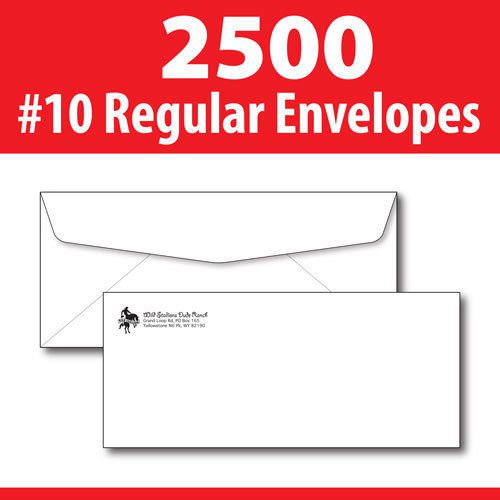 2500 custom printed #10 regular envelopes for sale