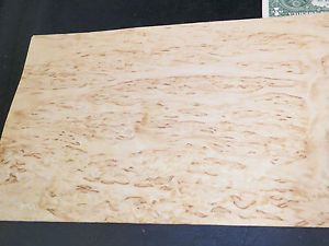 Masur birch raw wood veneer 8 x 40 inches, 1/42nd thick   6924-19