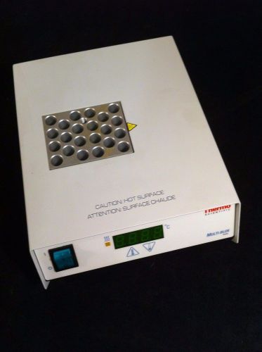 THERMO SCIENTIFIC Multi-Blok Heater Model 2000