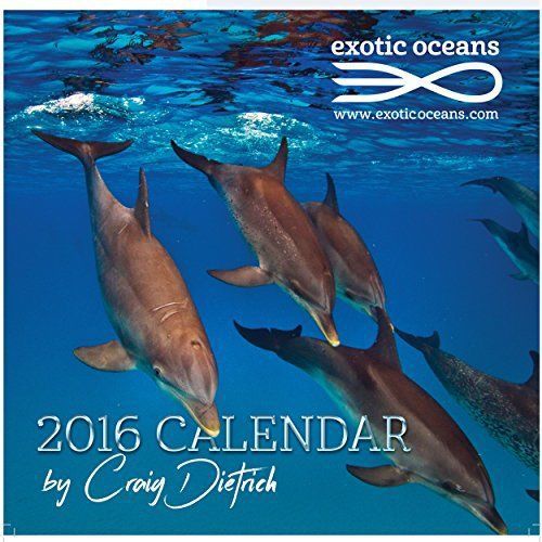 Exotic Oceans Calendar 2016 By Craig Dietrich