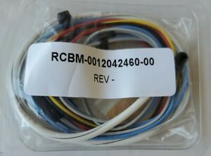 RHEEM RCBM-0012042460-00 wire set