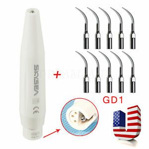Dental Ultrasonic Piezo Scaler Handpiece w/ 10*Tips G E P Fit DTE Satelec