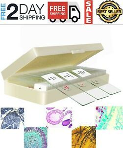 50 microscopio preparadas para ninos estudiantes biologia ciencia aprendizaje