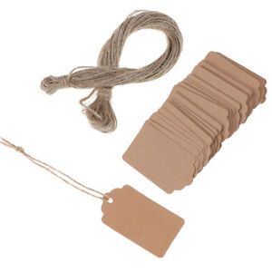 100Pcs Blank Kraft Jewelry Price Label String Price Tags With String 2TD Jx  pq