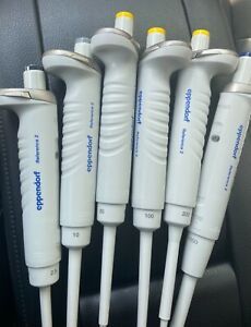 Eppendorf Reference 2 Pipettes 6-pack