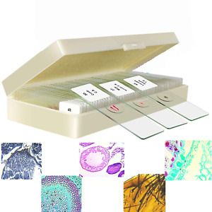 50Pcs Prepared Microscope Slides with Specimens for Students Biology and Science