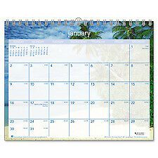 At-A-Glance AAGDMWTE828 Wall Calendar, 12 Months, 15 in. x 12 in., T