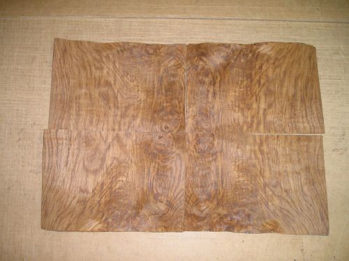 English Brown Oak Burl Veneer. 7 x 10, 23 Sheets.