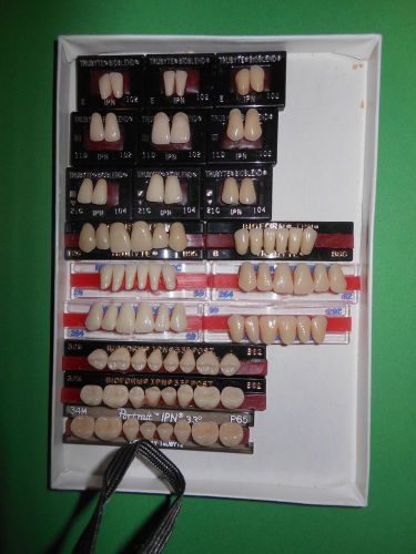New dentsply denture teeth for sale