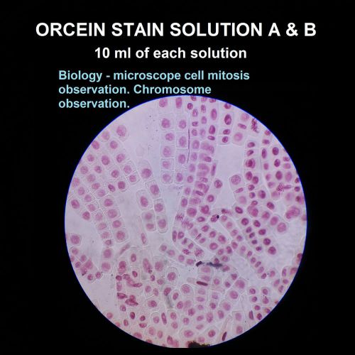 Microbiological stain: Acetic Orcein Synthetic A &amp; B (10ml ea) Red, Microscope