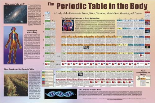 Periodic table in the body 28 x 36 poster, laminated for sale