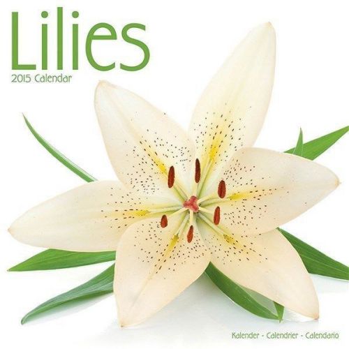 New 2015 lilies wall calendar by avonside- free priority shipping! for sale