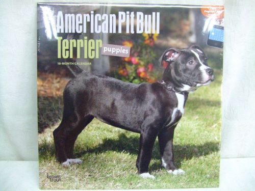 Brown Trout &#034;American Pit Bull Terrier Puppies&#034; 12&#034; 2015 18 Month Calendar New