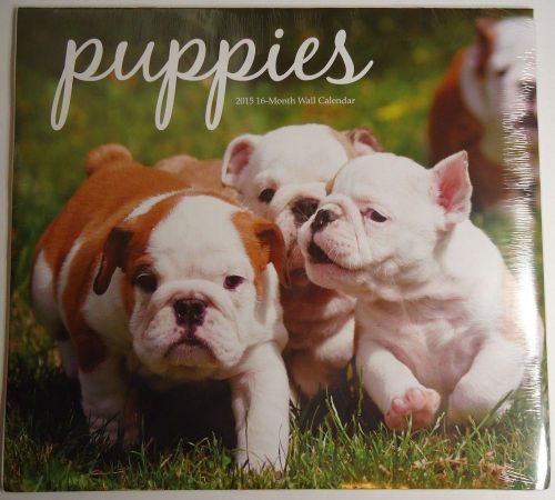 2015 Calendar Puppies 12&#034; X 11&#034;
