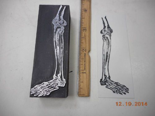 Letterpress Printing Printers Block, Leg Bone connected to Foot Bones, Dem Bones