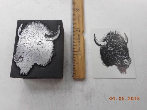 Letterpress Printing Printers Block, Animal Buffalo Head
