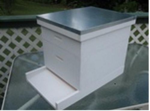 Bee Hive Langstroth 10 frame w/ honey super, all frames and foundation