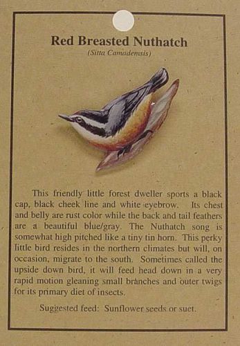 Nuthatch bird  hat pin lapel pins   free u.s.  ship for sale