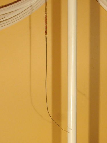 Antique Pig Whip