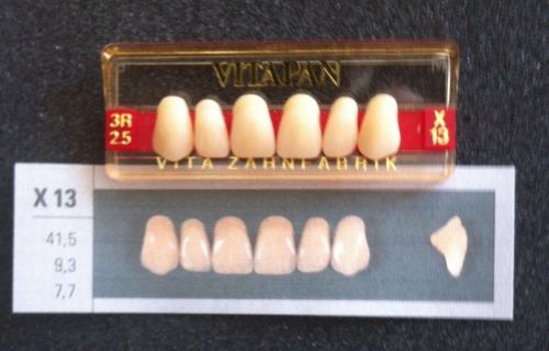 Vitapan Denture Teeth    X13    3R2.5