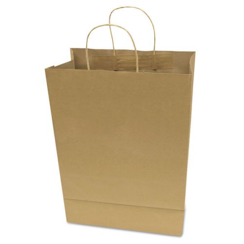 Premium Small Brown Paper Shopping Bag, 50/Box
