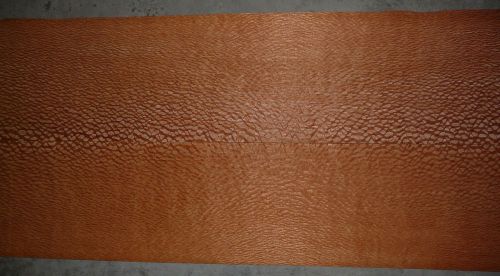 Quarted lacewood wood veneer 5.5&#034;x30&#034;