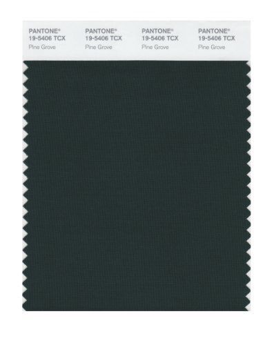 Pantone 19-5406 tcx smart color swatch card, pine grove for sale