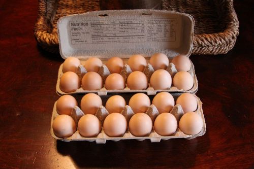 Two Dozen Fertile American Bresse Hatching Eggs - NPIP