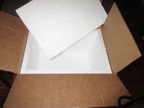 10 by 8 by 8 Styrofoamed Lined Protective Shipping Box