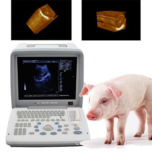 Veterinary vet full digital portable ultrasound scanner rectal 3d workstation for sale