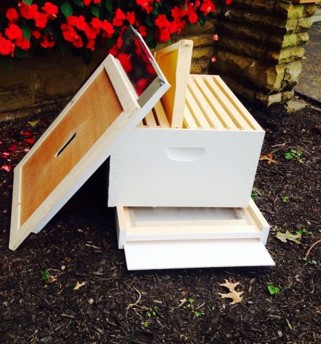 Complete 10 frame Beehive hive,Beehive, honeybee, beekeeping supplies, bee