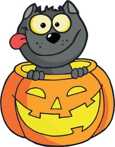 30 Custom Cartoon Halloween Cat Personalized Address Labels