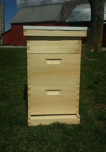 Complete hive (10 frame) 2 deep 1 medium complete