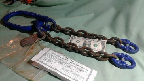 Fastenal double  chain sling hoist lifting chain for sale