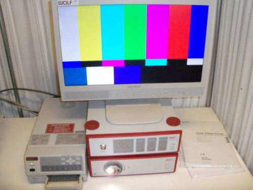 R. Wolf High Definition Endoscopy System 5550 Endocam 5124 Light Source Monitor