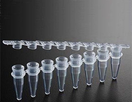 Extragene pcr tube with 0.2ml thin wall strip of 8 tubes flat caps dnase and ... for sale