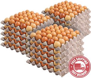 Stock  Your  Home  30 - Cell  Egg  Crates  ( 15  Pack ) -  Recyclable  &amp;  Stacka
