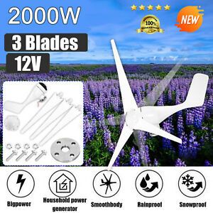 2000W Wind Turbine Generator Kit For Boats Gazebos Chalets&amp; Mobile Home NEW